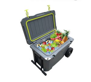 Lightweight Plastic Insulated Storage Box for Cold Chain 1