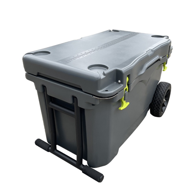 Lightweight Plastic Insulated Storage Box for Cold Chain - 图片 4