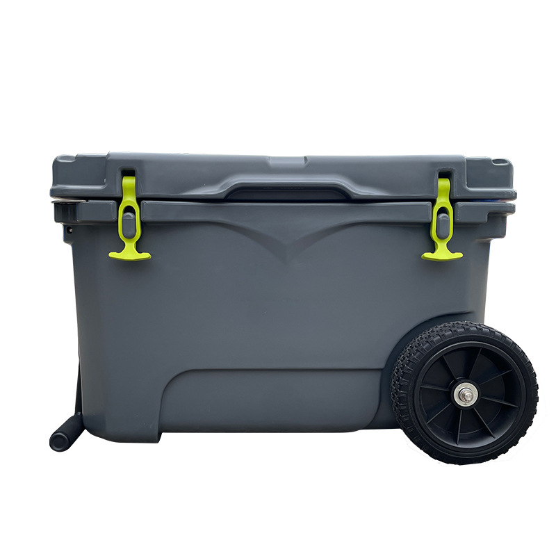 Lightweight Plastic Insulated Storage Box for Cold Chain - 图片 5
