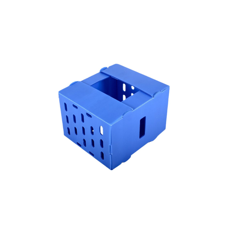 PP Corrugated Box Custom Lightweight Waterproof Reusable Packaging Box 3